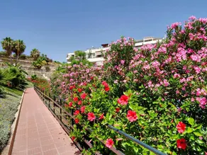 Appartement avec piscine, terrasse et jardin | Vue mer - Image 2