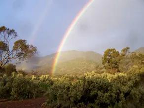 Pet-Friendly Cabin Rental in the Flinders Ranges of South Australia - Image 5