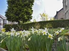 Cottage with garden - Image 2