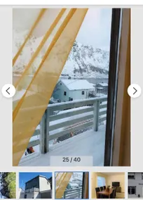 Senja villa -Arctic fish - Image 2