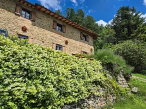 Into the Woods - Tuscany Retreat - Image 2