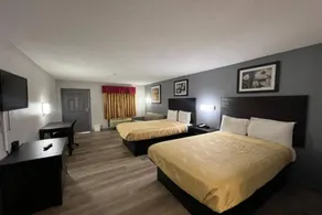 Pleasant apartment | Dogs allowed - Image 4