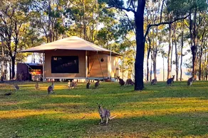 Stunning Eco-Tent near Gold Coast Ideal for Romantic Getaways, Queensland - Image 2