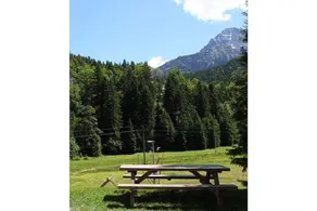 Maison de vacances entièrement équipée avec barbecue et terrasse | Avec animaux admis - Image 3