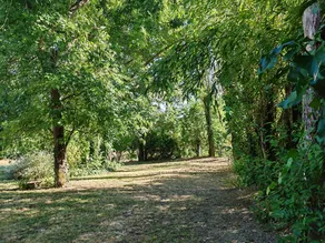 Family-friendly wonderful gite with terrace, barbeque & garden | Panoramic view | Dogs allowed - Image 5