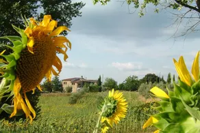 Casa dei Girasoli - Image 5