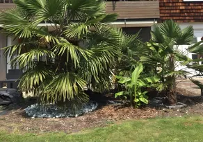 Appartement de vacances avec terrasse, jardin et barbecue | Vue jardin - Image 3