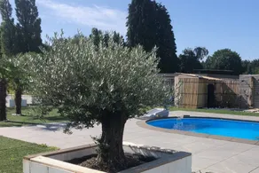 Family-friendly beautiful holiday home with garden, pool & barbecue | Pet-friendly - Image 2