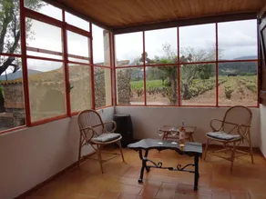 El campo - Cuers - Image 5