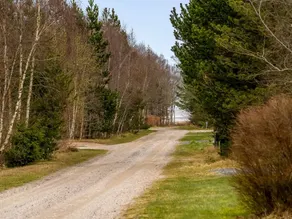 Holiday home with barbecue, sauna & terrace - Image 3