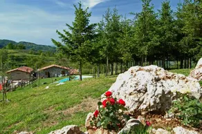 Summer: Bibi - Image 3