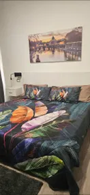 Chambre chez l'habitant avec terrasse, internet haut débit et jardin | Adaptée au travail à distance - Image 3