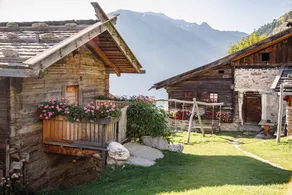 Casa con sauna, terrazza e barbecue | Vista sul giardino - Image 5