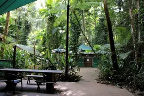 Family-Friendly Tented Cabin in the Rainforest, Austraila - Image 2