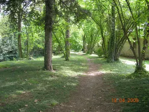 Agriturismo Fenilnovo: Fata Platano - Image 4