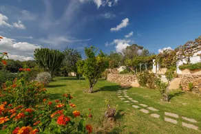 Fully equipped beautiful house with terrace, garden & private pool - Image 3