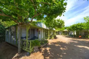 Schöne Camping-Unterkunft mit Grill, Whirlpool und Pool | Nah am Strand | Haustiere erlaubt - Image 3