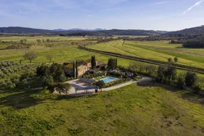 Tenuta Il Cicalino: Ceppo 5 - Image 3