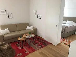 Flat | Next to Murinsel - Image 3