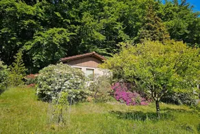 Nice house with garden - Image 2