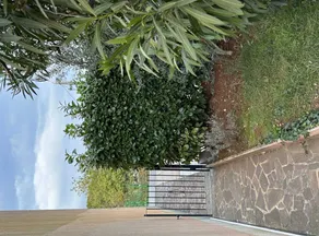 Apartment mit Terrasse, Garten und Grill | Wasserblick - Image 4