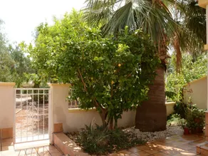 Holiday home with garden, pool & terrace | Close to the beach - Image 2