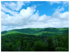Piebald Mountain Pet Friendly Tents, Petersburg, New York - Image 4