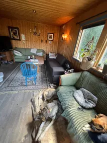 Forest Getaway in Greater Oslo region, Norway - Cabinfarm with Nature & Wildlife - Image 2