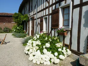 Nice B&B with garden | Pets allowed - Image 3
