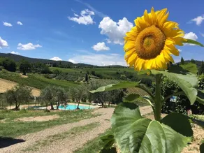 Casa dei Girasoli - Image 4