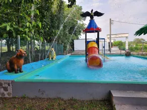 Child-friendly spacious house with private pool, terrace & garden | Garden view | Pet-friendly - Image 3