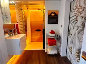 Appartamento con sauna, barbecue e giardino - Image 2