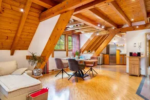 Apartment “Black Forest Home” with Great Comfort - Image 4
