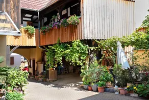 Holiday apartment with barbeque & terrace - Image 5