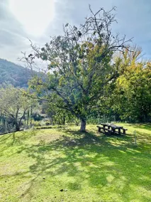 Casa Rural Orilla del Hueznar – Relax en la Sierra Norte de Sevilla - Image 3