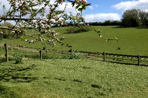 Peaceful Hilltop Luxury Yurt on Small Farm off East Devon Coast, England - Image 5