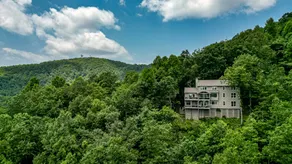 Southern Views - Image 5