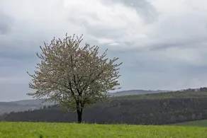 Appartement de vacances avec internet haut débit et terrasse | Vue montagne - Image 3