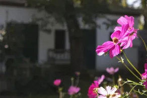 Family-friendly lovely holiday home with garden - Image 3