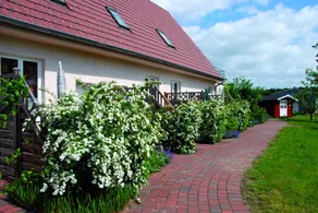 Apartment with terrace & garden - Image 4