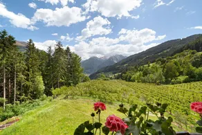 Charmant appartement de vacances | Vue montagne | Avec animaux admis - Image 2