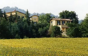 Fattoria del Cerretino - Image 3