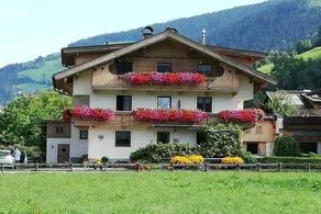 House | Pets are welcome - Image 3