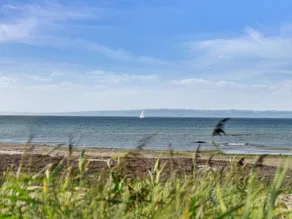 "Nilson" - 50m from the sea - Image 3