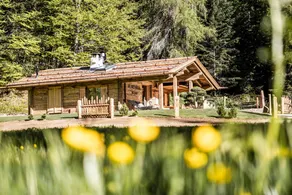 Pleasant chalet with garden, terrace & sauna | Garden view | Dogs allowed - Image 5