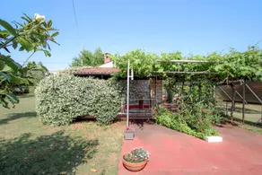 Studio for 2 persons - Image 4