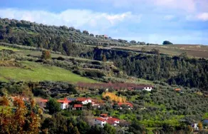 Santacinnara: Maria - Image 5
