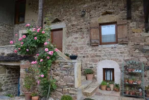 Cottage with garden & terrace | Garden view | Perfect for remote work - Image 2
