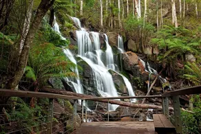 Pet Friendly Rural Glamping in Neerim South, Victoria - Image 3