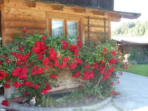 House with garden | Mountain view - Image 5